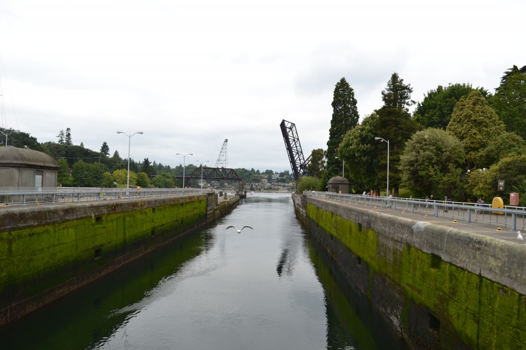 Ballard Locks Seattle