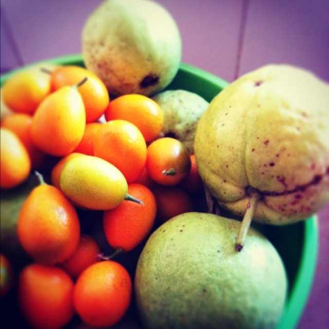 Bondi Farmers Market Fruit